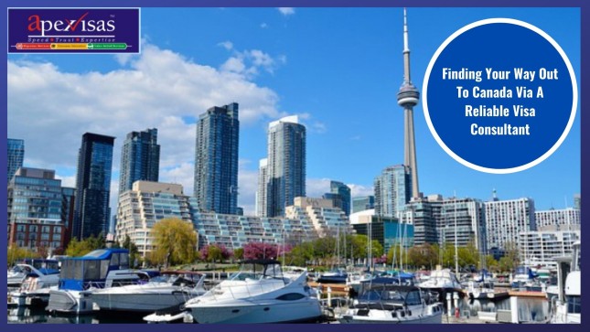 Navigate Your Path to Canada with Reliable Canada Visa Consultant