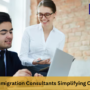 Navigating Complex Immigration Laws: How Consultants in Bangalore Can Help