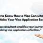 The Benefits of an Immigration Consultant &  How They Make Your Visa Application Easier?